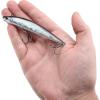 imageBerkley Finisher Fishing Hard BaitBlack Silver