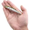 imageBerkley Finisher Fishing Hard BaitChrome Perch