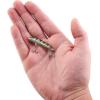imageBerkley Finisher Fishing Hard BaitGhost Chrome Gill
