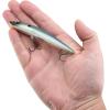imageBerkley Finisher Fishing Hard BaitGhost Sexy Shad
