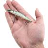 imageBerkley Finisher Fishing Hard BaitGhost Sexy Shad
