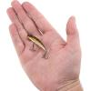 imageBerkley Finisher Fishing Hard BaitPerch